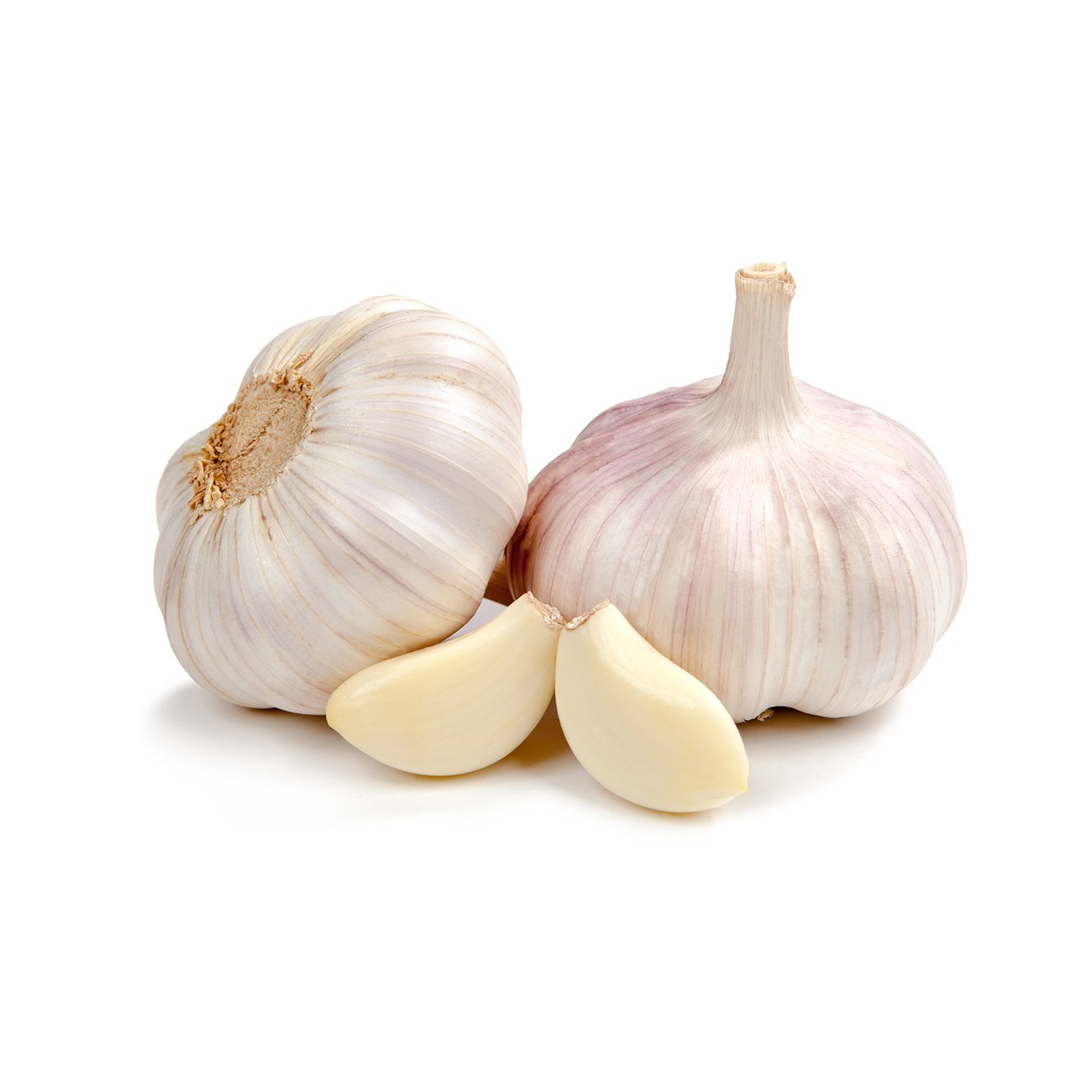 Garlic image